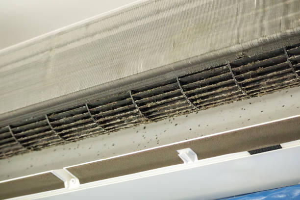 Best Commercial Air Duct Cleaning  in River Forest, IL